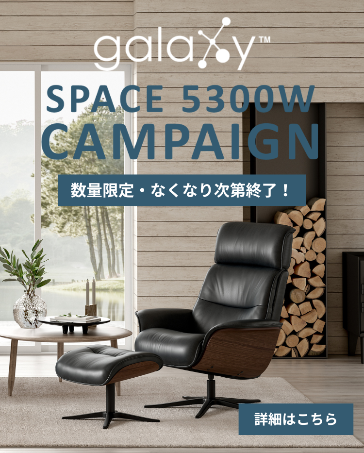 美品 galaxy ギャラクシー Luna ルナ ローバックチェア エコーネス-