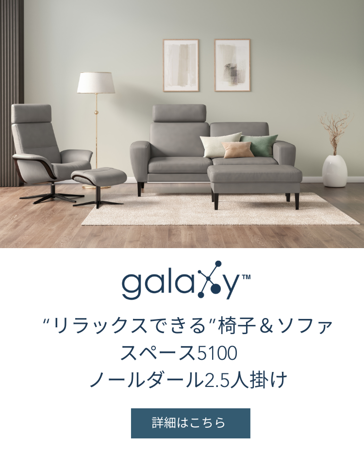 美品 galaxy ギャラクシー Luna ルナ ローバックチェア エコーネス